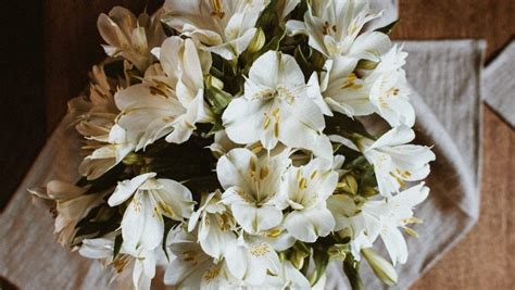 What do White Lilies Symbolise? 5 Types of White Lilies & Their Meanings