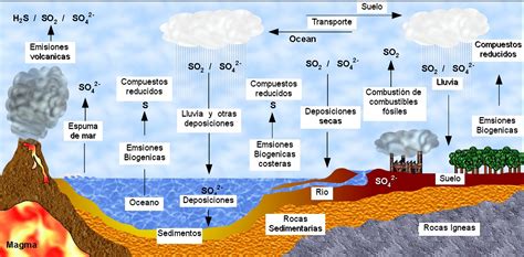 Importancia del Ciclo del Azufre