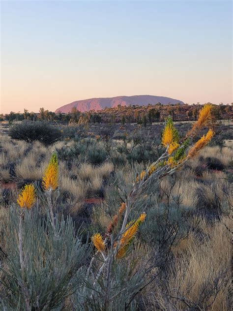 Uluru, Australia : r/pics