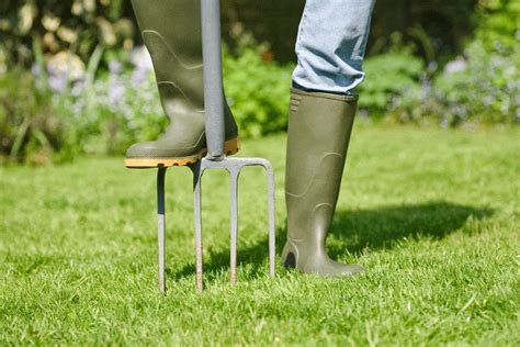 What's The Best Time To Aerate And Overseed A Lawn?