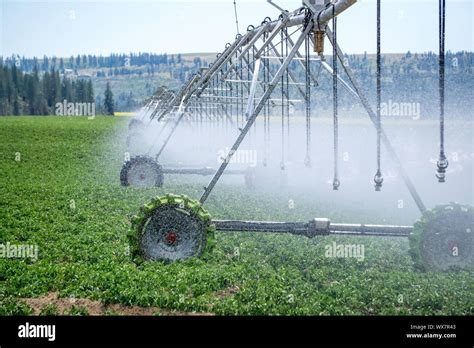 Irrigation equipment on farm field on sunny day Stock Photo - Alamy