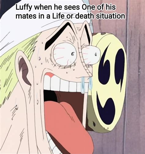 Luffy reaction : r/Piratefolk