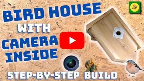 BIRD HOUSE with CAMERA Inside - Step-By-Step Build - Easy DIY in 2023 ...