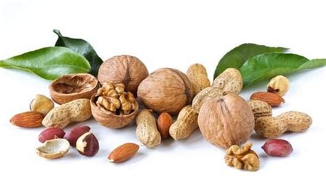 Heart Healthy Nuts: The Perfect Snack – Schiff Vitamins