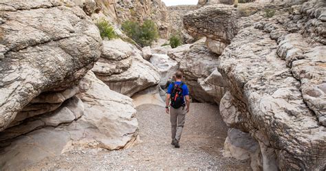 Balanced Rock Hike: A Short but Sweet Hike in Big Bend National Park ...