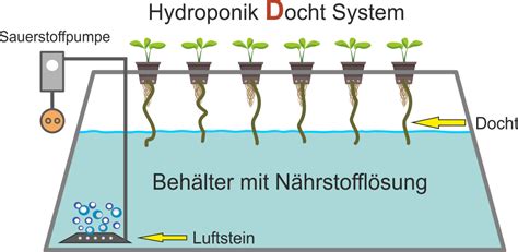 NFT-System selber bauen/ kaufen? Hydroponik für Anfänger erklärt