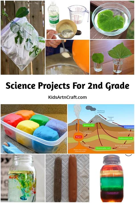 Science Projects for Grade 2 - Kids Art & Craft