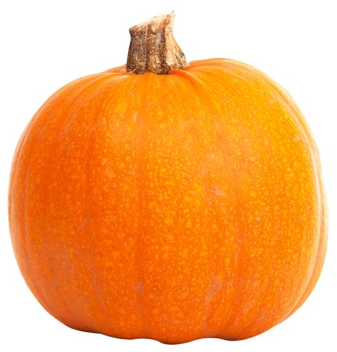 Pumpkin Png Image Purepng Free Transparent Cc0 Png Image Library ...