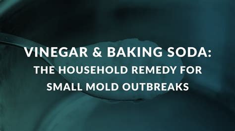 Vinegar & Baking Soda: The Household Remedy for Small Mold Outbreaks