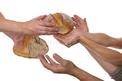 People grabbing for food stock image. Image of eating - 37944753