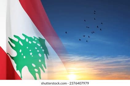 10,462 Lebanon Flag Designs Images, Stock Photos, 3D objects, & Vectors ...