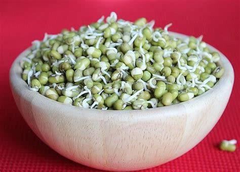 Mung bean sprouts | How to make sprouts | Green gram sprouts