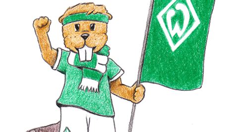 Werder Bremen: Werder-Maskottchen gesucht: Jetzt abstimmen! | News