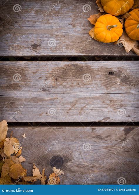 Fall harvest background stock image. Image of abstract - 27034991