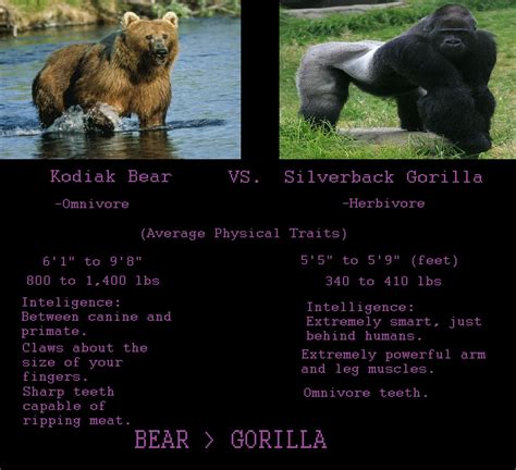 Silverback Gorilla vs Grizzly Bear | Page 2 | SpaceBattles