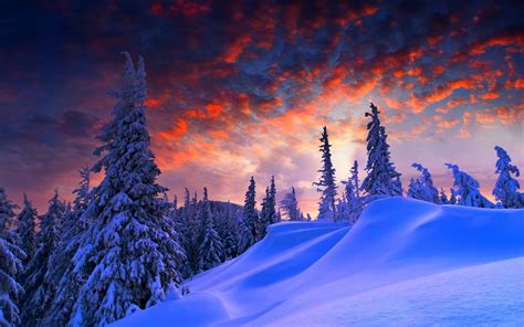 snow landscape wallpaper,sky,nature,snow,winter,tree (#379195 ...