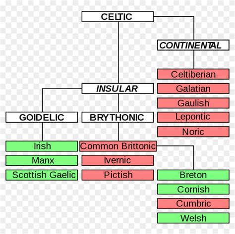 Celtic Language Family Tree, HD Png Download - 1076x1024(#3660464 ...