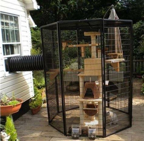 Outdoor Cat Enclosures | Home Design, Garden & Architecture Blog Magazine