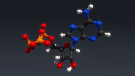 3d atp structure model