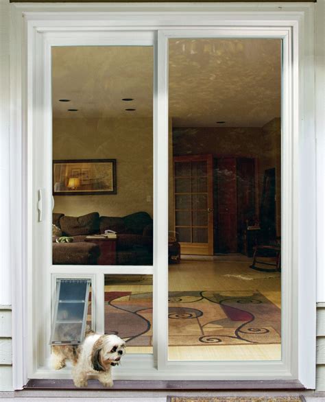 Everything You Need To Know About Sliding Glass Dog Doors - Glass Door ...