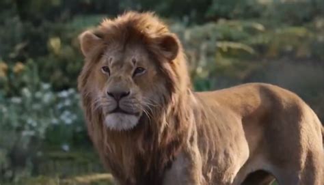 Simba confronts Scar in The Lion King TV spot