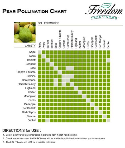 Pineapple Pear Tree Pollination Chart