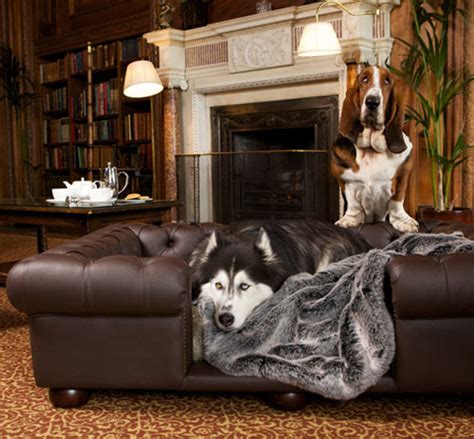 Balmoral Brown Faux or Real Leather Dog Sofa Bed | D for Dog