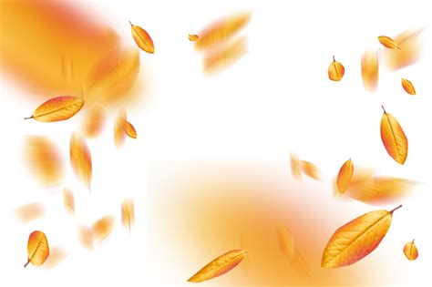 🥇 Image of autumn leaves autumn yellow leaf overlay png nature - 【FREE ...