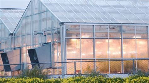 The Benefits of Greenhouse Polycarbonate Panels - Greenhouse Grower