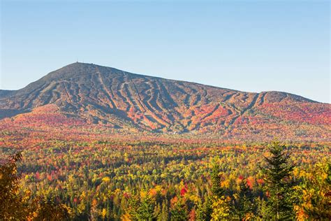 Foliage 10.7.16 | Happy Homecoming, Sugarloafers! | Sugarloaf Maine ...