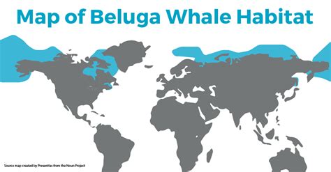 Beluga Whale Map