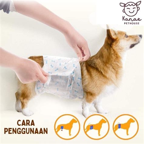 Jual Dono Pampers Popok Anjing Jantan Male All Size | Shopee Indonesia