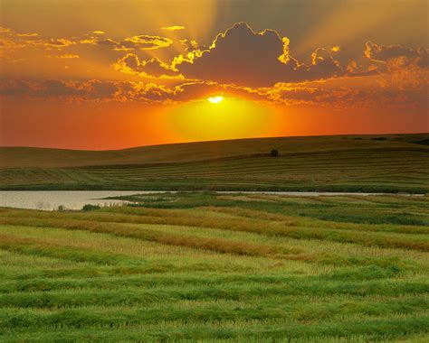 Sunset Over Harvested Canola Field Photograph by Yves Marcoux | Fine ...