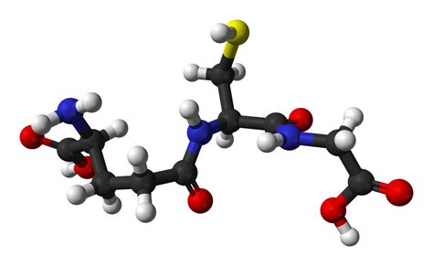 Glutathione - Wikipedia