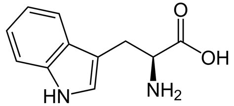 Tryptophane - Le guide complet réalisé par un chercheur - Doctonat