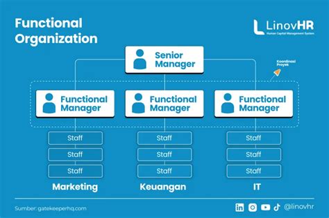 Struktur Organisasi Fungsional: Pengertian, Manfaat & Bentuk - LinovHR