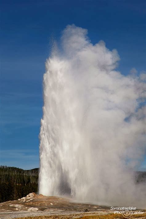 Old Faithful Geyser | Yellowstone NP | Wyoming | USA | Synnatschke ...