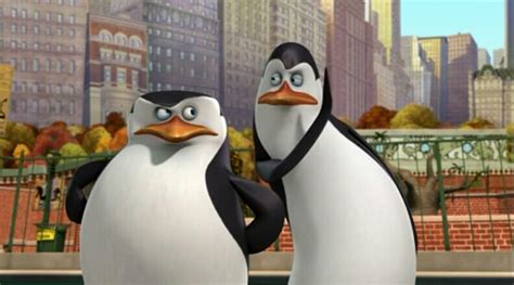 Skipper and Kowalski. - Penguins of Madagascar Photo (37068148) - Fanpop