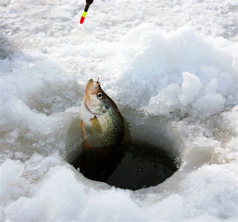 Crappie ice fishing — Stock Photo © dcwcreations #2003953