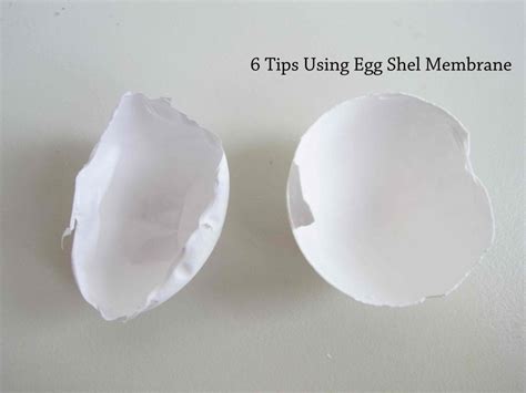 6 Healing Tips Using Egg Shell Membrane