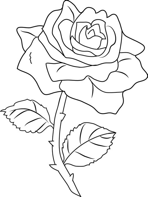 Rose Coloring Pages Printable Free - Printable Word Searches