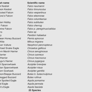 List of the 25 raptor species and numbers (N) counted. The bold numbers ...