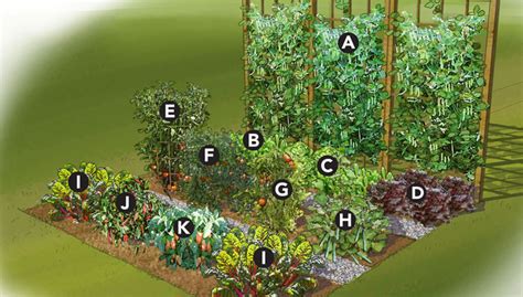 19 Vegetable Garden Plans & Layout Ideas That Will Inspire You