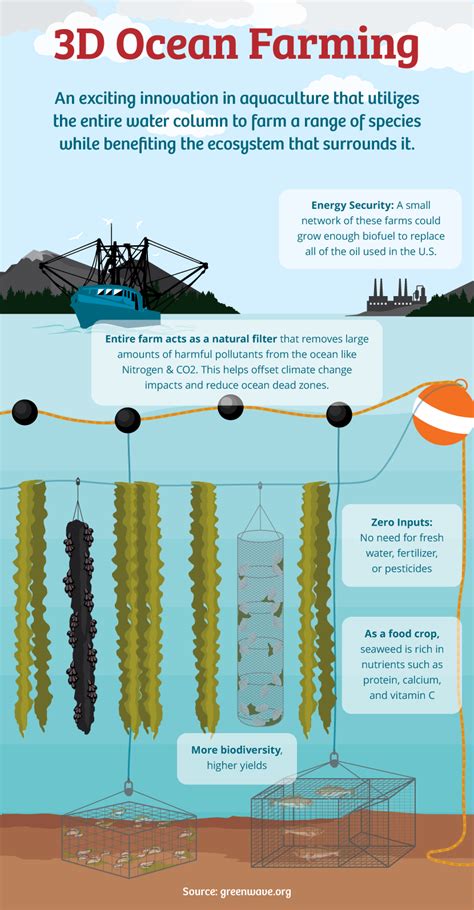 Fishing for Information: The Environmental Impact of Fish Farming ...