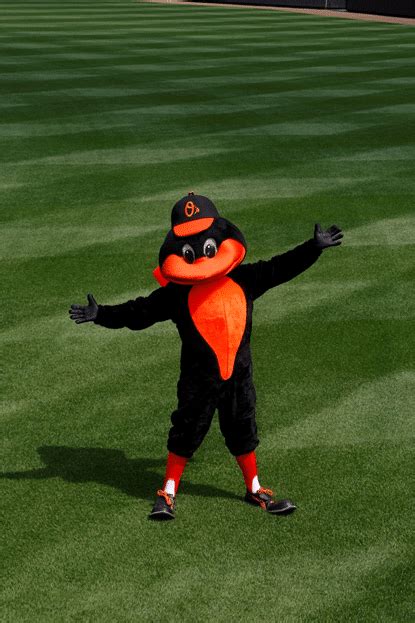 Oriole Bird (Baltimore Orioles) | Mascot Hall of Fame