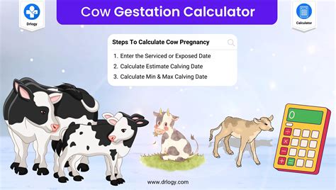 Sheep Pregnancy Calculator | Sheep Gestation Calculator - Drlogy