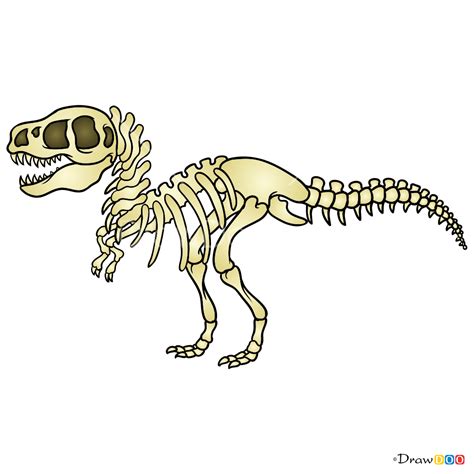 How to Draw Dinosaur Skeleton, Skeletons