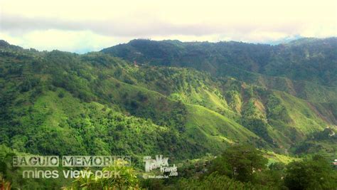 Baguio City’s Mines View Park - Travex Travels - Travel. Explore. Fun in PH