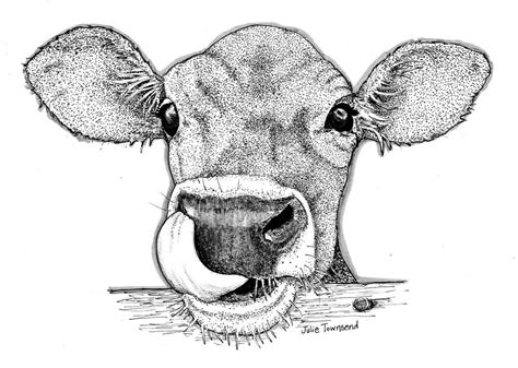 Cow Drawing Art at PaintingValley.com | Explore collection of Cow ...