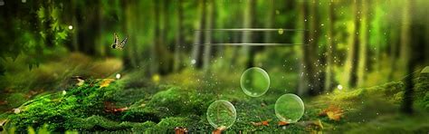 Nature Background Banner